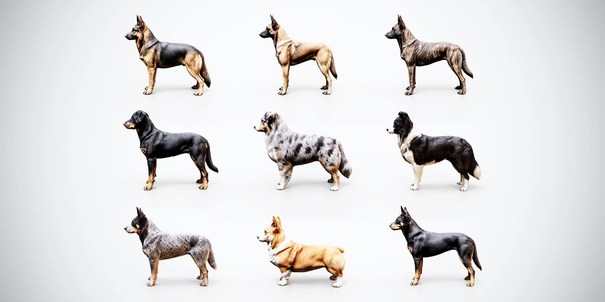 Preview grid of shepherd and herding dog 3D models with upright and folded ears, varied coat patterns and a short-legged Corgi